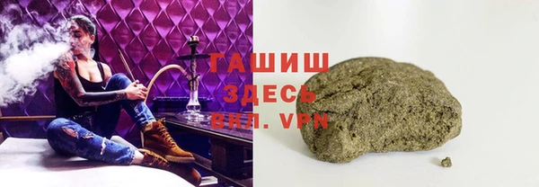 индика Абинск