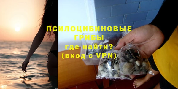 тгк Абаза