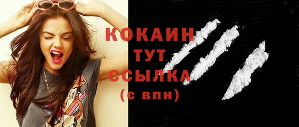 индика Абинск