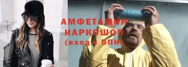 индика Абинск