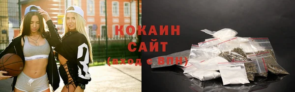 индика Абинск