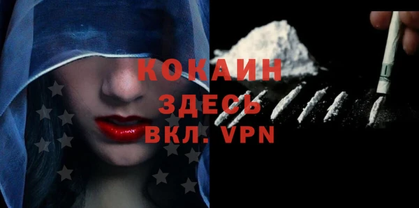 индика Абинск