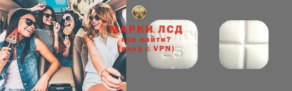 индика Абинск