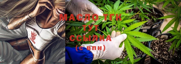 прущие грибы Наволоки
