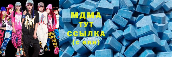 индика Абинск