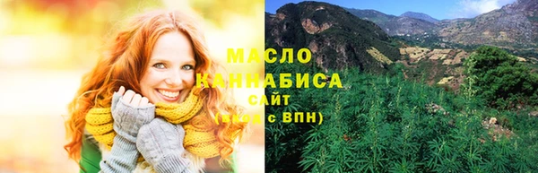 тгк Абаза