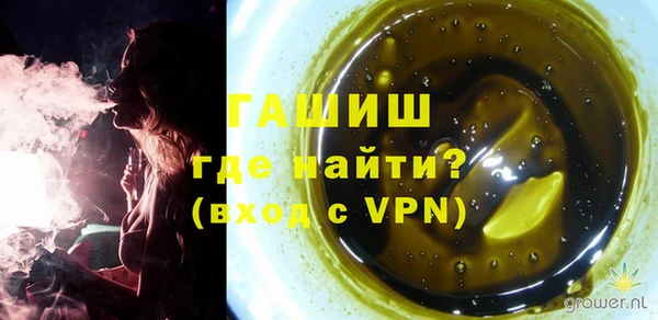 индика Абинск